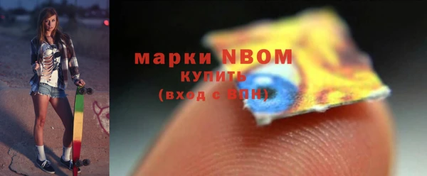 шишки Михайловка