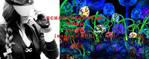 шишки Михайловка