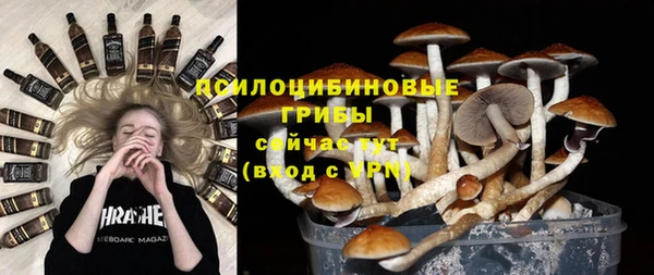 гидропоника Михайлов
