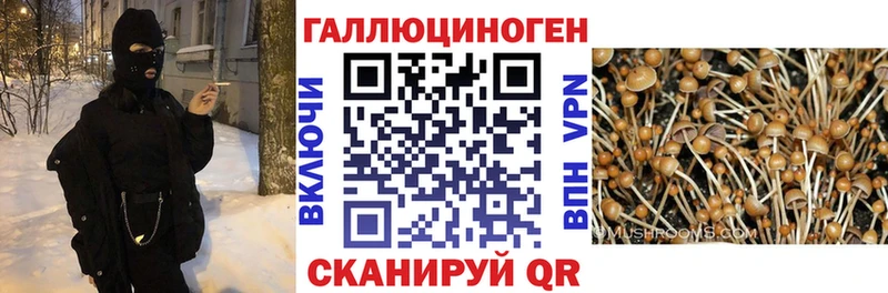 кракен рабочий сайт  Ульяновск  Галлюциногенные грибы ЛСД 