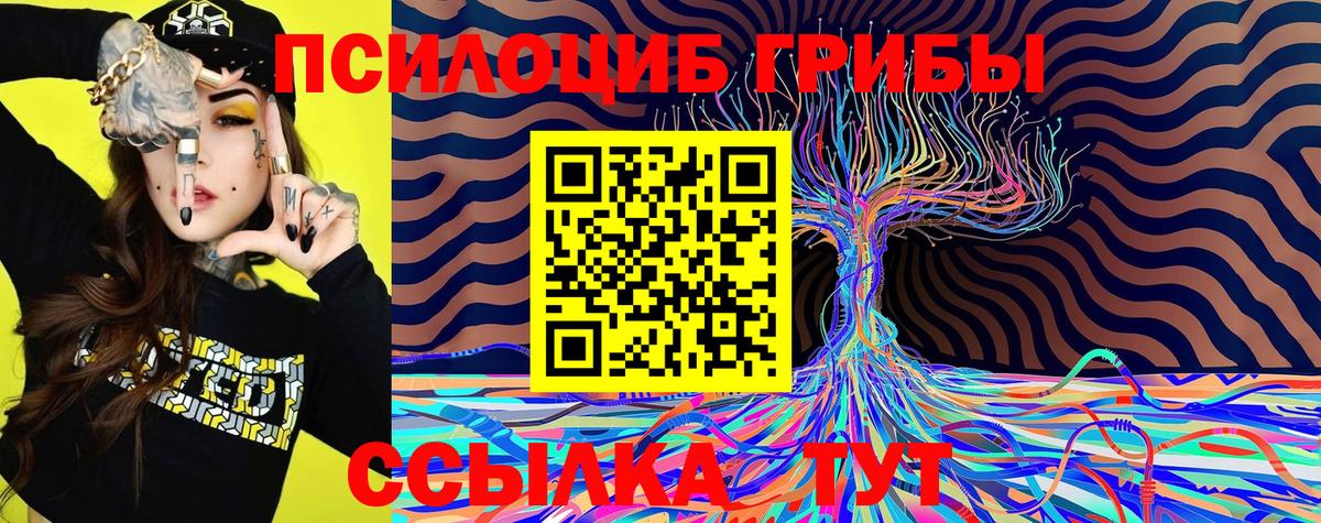 Псилоцибиновые грибы GOLDEN TEACHER  закладка  Ульяновск 