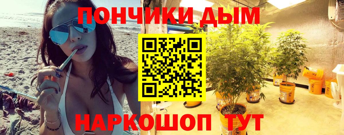 Бошки марихуана MAZAR  Конопля планчик  Ульяновск  Бошки марихуана планчик  МАРИХУАНА тримм 